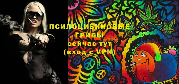 ешки Алзамай