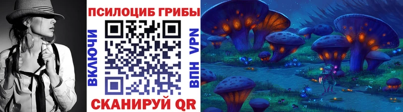 mega ССЫЛКА  Луза  Псилоцибиновые грибы Psilocybine cubensis  купить наркоту 